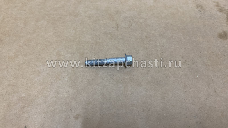 Болт клапанной крышки Chery Tiggo 5 481H-1003043