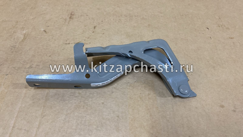 ПЕТЛЯ КАПОТА ПРАВАЯ EXEED TXL 553000026AADYJ SCHNIEDER CH23369